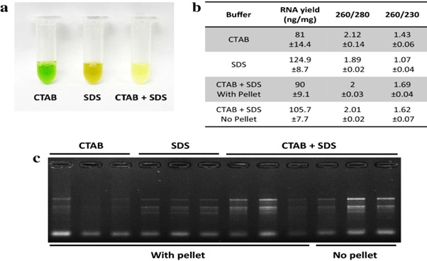 modified CTAB protocol for Genomic extraction from Citrus spp. (Orange)