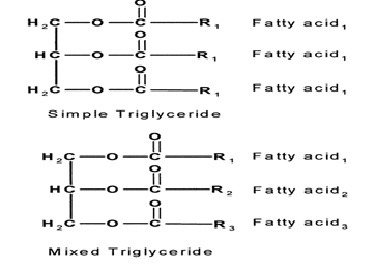 fats and oils structure