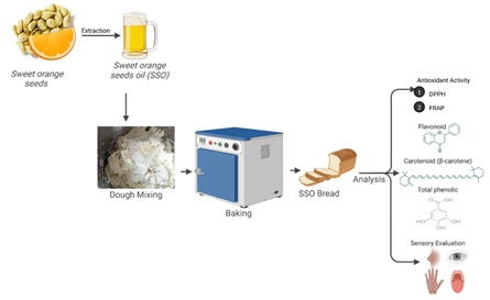 Sweet Orange (<em>Citrus Sinensis</em>) Seed Oil as a Functional Ingredient for Bread-Antioxidant, Total Phenolic, Flavonoid, Carotenoid Content and Sensory Evaluation