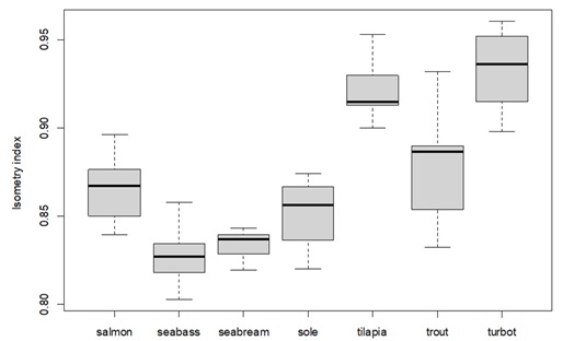 Boxplot of the isometry index, demonstrating how each species body composition is affected by body weight