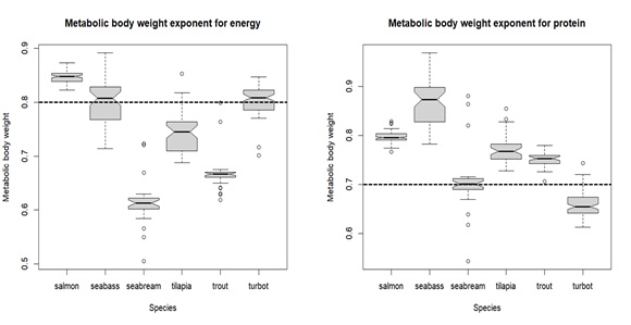 Boxplot showing the estimates of metabolic body weight exponents for energy
