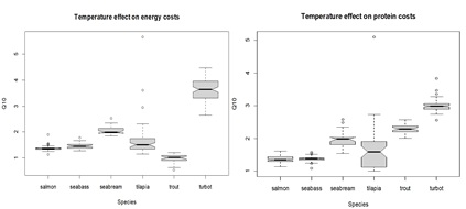 Box plots displaying Q10 value estimates for temperature effects on energy (left) and protein (right) fasting maintenance costs.