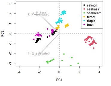 Principal component analysis (PCA) showing species distance considering the metabolic body weight and temperature effect. 